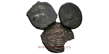 TIPO FOLLIS. Ceca Emesa  14/50H Califato Omeya