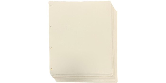 Pack Cartulina Separadora Bolsa 10 Unid. PRONUMAS SERIE BILLETES