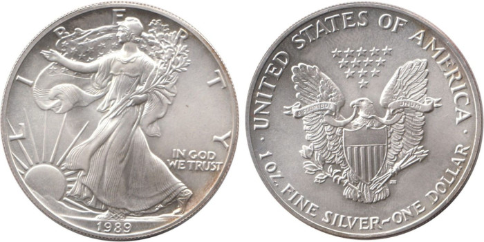 ESTADOS UNIDOS - K-273 - 1 DOLAR 1989 , SC  PLATA