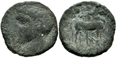 CARTAGO NOVA Calco 237/206 a.c.