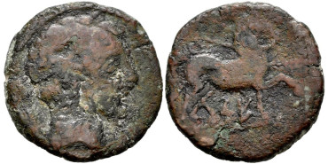 CELSE (VELILLA DEL EBRO) Semis 1ª mitad siglo II.