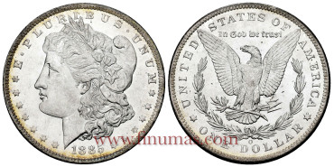 ESTADOS UNIDOS - K110 - 1 DÓLAR 1885O SC lujo