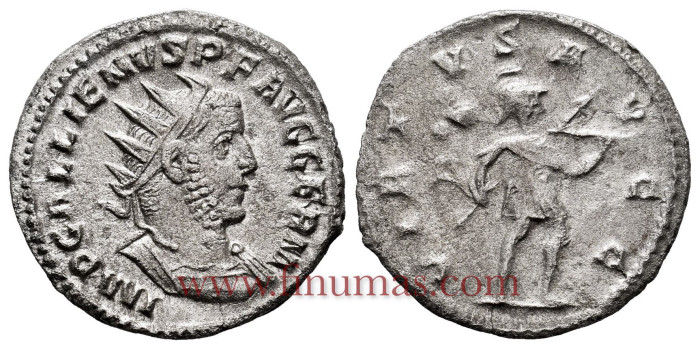 GALIENO DENARIO ANTONINIANO 253/254 d.C.  VIMINACIUM