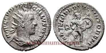 TREBONIANO GALO  DENARIO ANTONINIANO 251/253 d.C