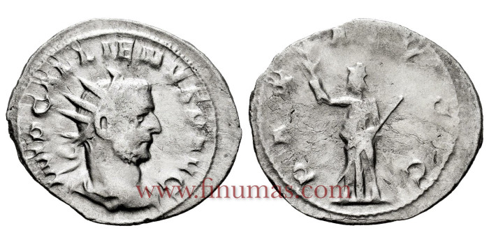 GALIENO DENARIO ANTONINIANO 253/255 d.C.  ROMA