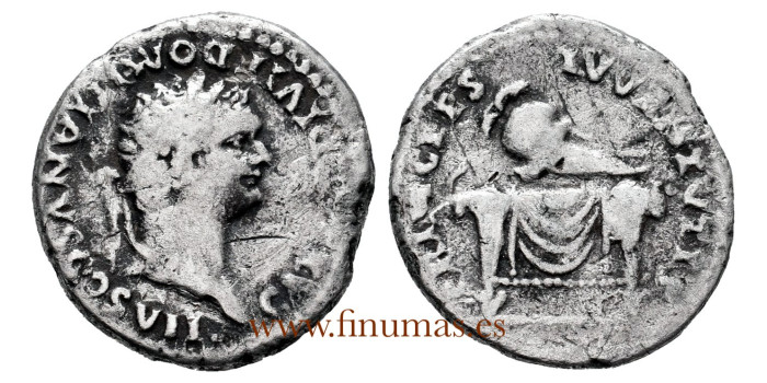 DOMICIANO Denario Roma 80d.c.