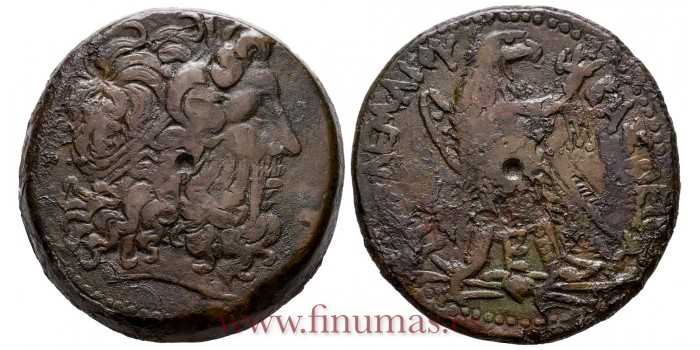 GR031.- AE46 Ptolemy III - Ptolemaic Egypt 221-204 B.C
