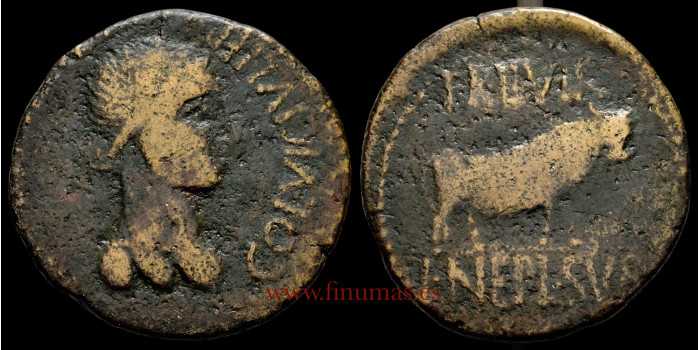 CELSE (VELILLA DEL EBRO) ACE 50-30 a.C.