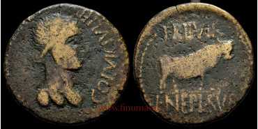 CELSE (VELILLA DEL EBRO) ACE 50-30 a.C.