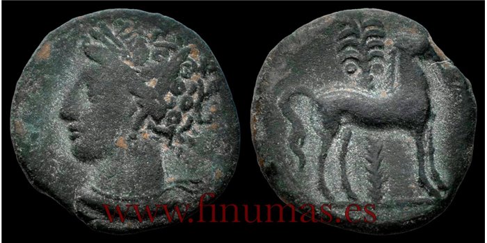 CARTAGONOVA (CARTAGENA)  1/2 CALCO  220-215 a.C.