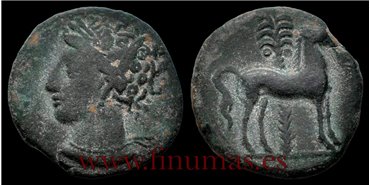 CARTAGONOVA (CARTAGENA)  1/2 CALCO  220-215 a.C.