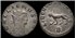 GALIENO DENARIO ANTONINIANO 253-268 d.c. ROMA - TIGRE