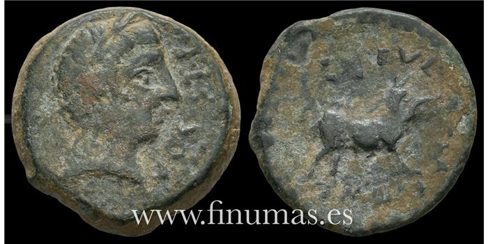 CASTULO (JAEN) CUADRANTE   a.c.