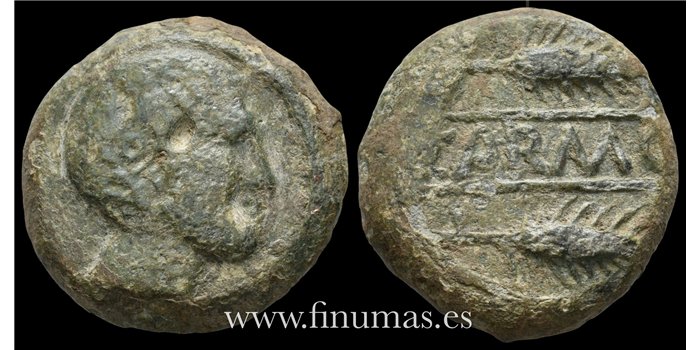 CARMONA Sevilla- AS 89 a.c.