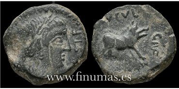 CASTULO Jaen - Semis  a.c.