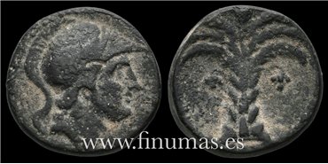 HISPANIA CARTEGINESA - Calco de bronce palmera 220-215  a.c.