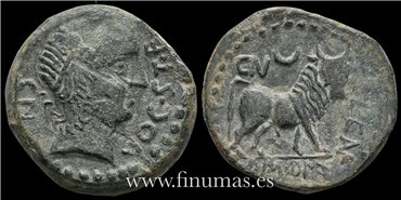 CASTULO Cazlona- Jaen SEMIS 180-150  a.c.