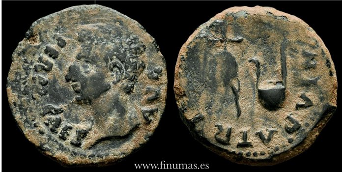 COLONIA PATRICIA (CORDOBA) SEMIS AUGUSTO 27-14 a.C