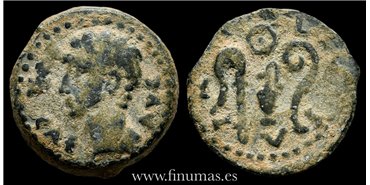 COLONIA PATRICIA (CORDOBA) CUADRANTE AUGUSTO 27-14 a.C