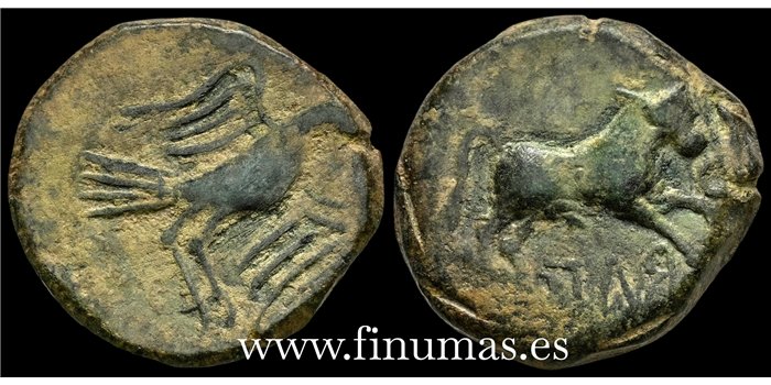 OBULCO (JAEN)  SEMIS  200-20 a.C.