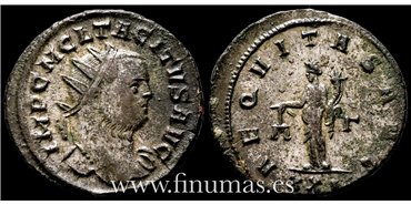 Tacito 275-76  d.C. Antoniniano - Aequitas AVG. Ceca : Roma - EBC+