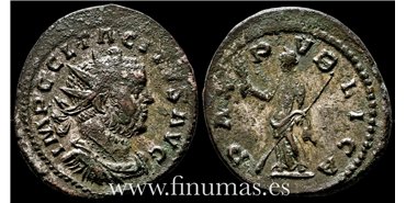 Tacito 275-76  d.C. Antoniniano - Pax Publica- Ceca : - EBC