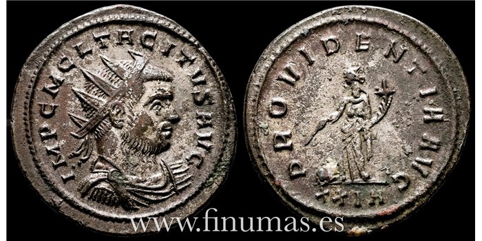 Tacito 275-76  d.C. Antoniniano - Providentia Avg.- Ceca : Roma - SC