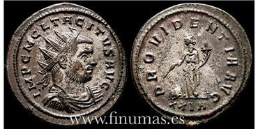 Tacito 275-76  d.C. Antoniniano - Providentia Avg.- Ceca : Roma - SC