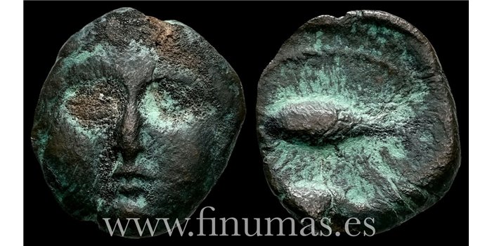 GADES (CADIZ) 1/2 CALCO  200-100 a.C.