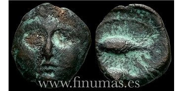 GADES (CADIZ) 1/2 CALCO  200-100 a.C.