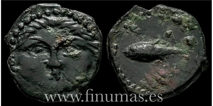 GADES (CADIZ) 1/2 CALCO  200-100 a.C.