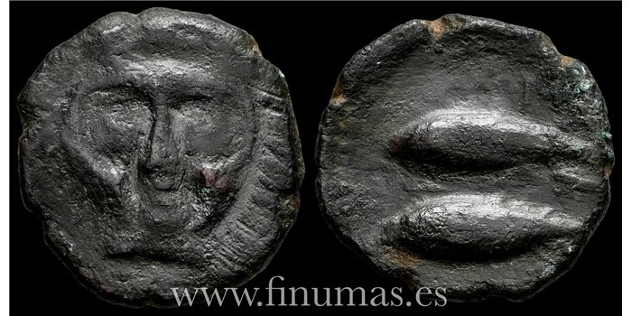 GADES (CADIZ) CALCO  200-100 a.C.