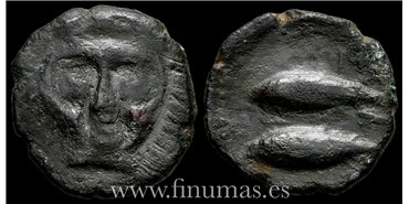 GADES (CADIZ) CALCO  200-100 a.C.