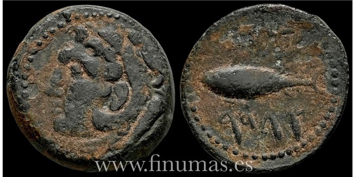 GADES (CADIZ) SEMIS  100-20 a.C.