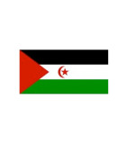 MONEDAS REPUBLICA SAHARAUI