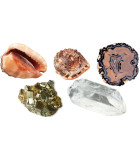 MINERALS AND SHELLS